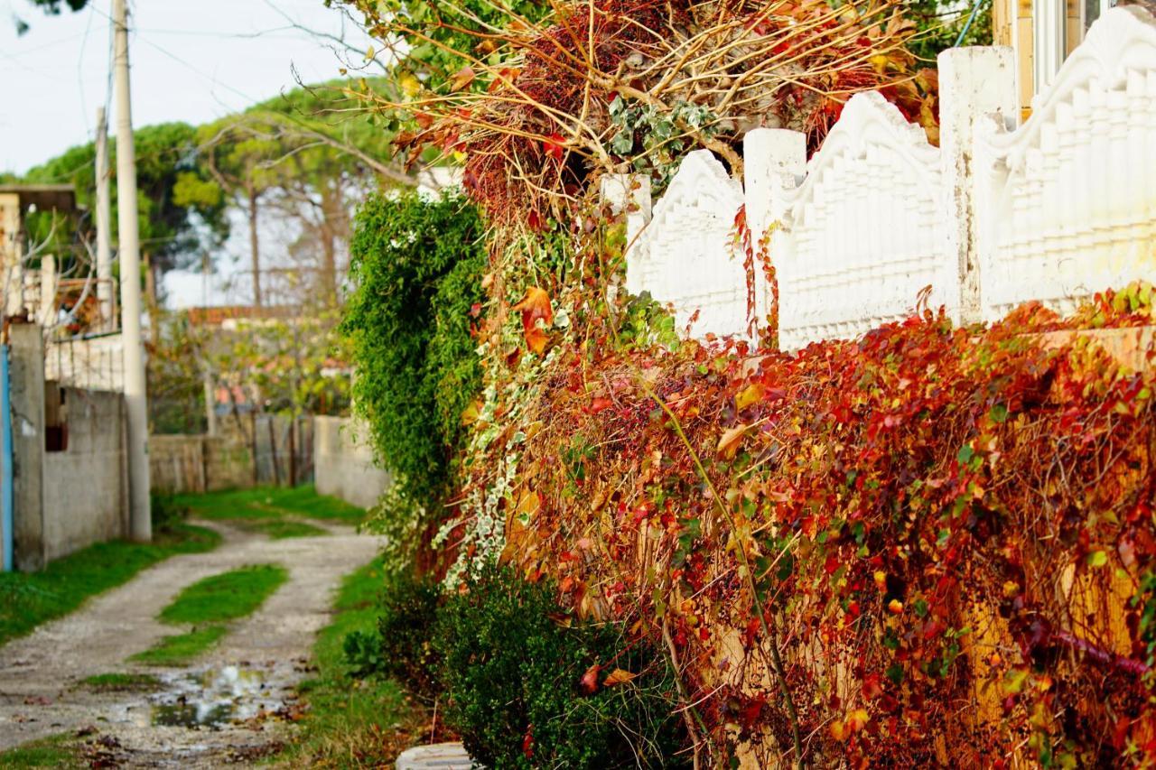 Villa Duka Vlorë Esterno foto